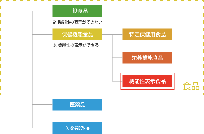 一般食品・保健機能食品・医薬部外品・医薬品の違い