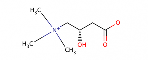 L-カルニチン
